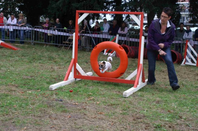 foire-haricots 2011-09-17et18